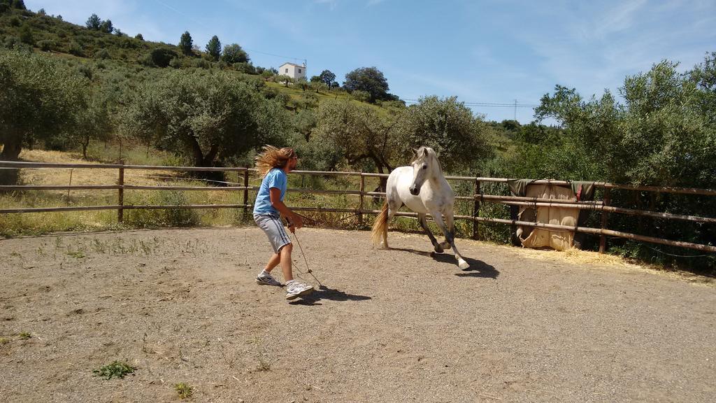 Finca La Piedra Holidays Alora Bagian luar foto