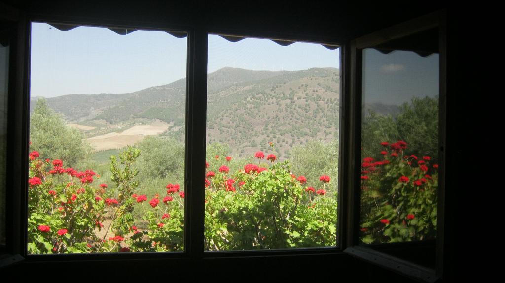 Finca La Piedra Holidays Alora Ruang foto