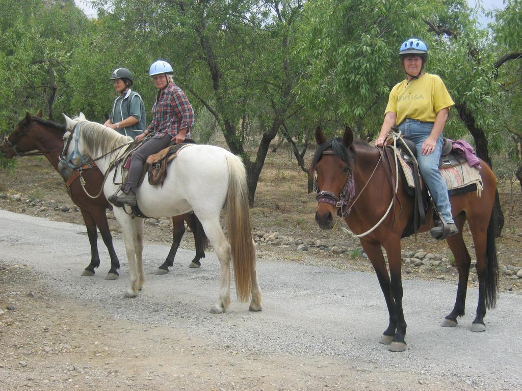 Finca La Piedra Holidays Alora Bagian luar foto