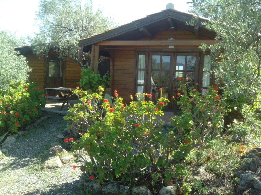 Finca La Piedra Holidays Alora Ruang foto