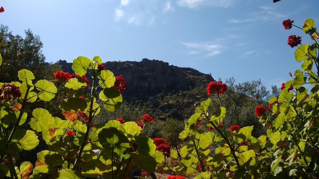 Finca La Piedra Holidays Alora Bagian luar foto